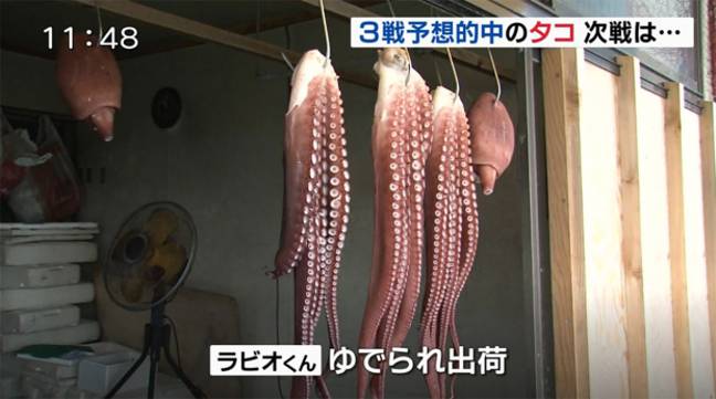 社交媒体上的报道说，这就是Rabiot现在的样子。图片来源：YouTube/北海道ニュースUHB