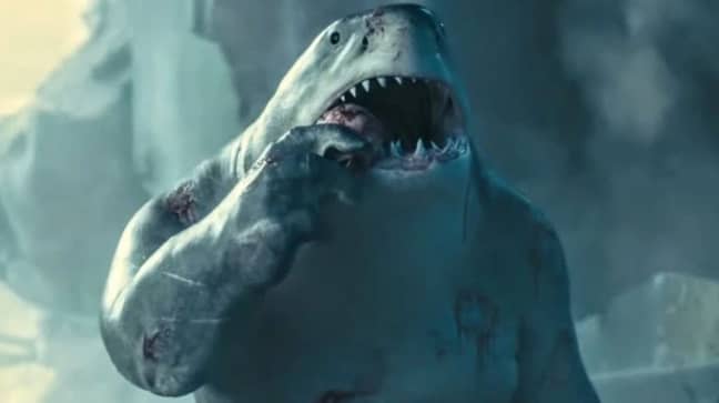 国王鲨已成为粉丝的最爱。图片来源：DC电影“width=