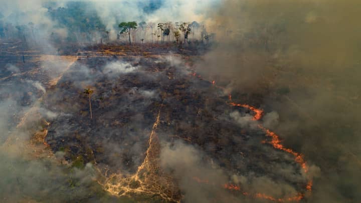 亚马逊雨林“被谴责遭到破坏”，大火迅速增加“width=