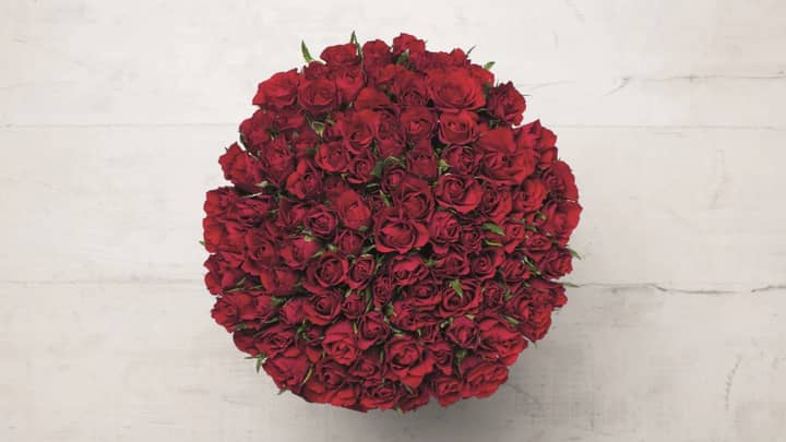 Lidl在这个情人节以25英镑的价格出售100朵玫瑰花“width=
